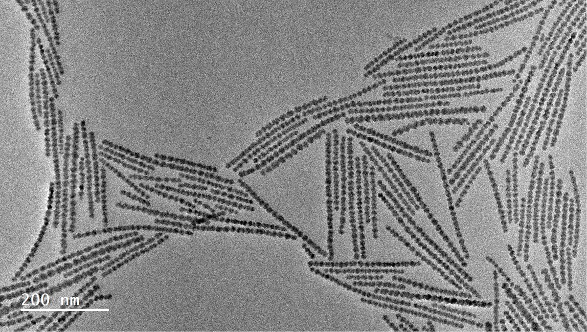 Fun in making halide perovskite nanostructures. 
pubs.acs.org/doi/10.1021/ja…
<a href="/acsJACS/">Journal of the American College of Surgeons (JACS)</a> <a href="/KGT_Lab/">George Thomas' Group</a> <a href="/sumanbera46/">Suman Bera</a>