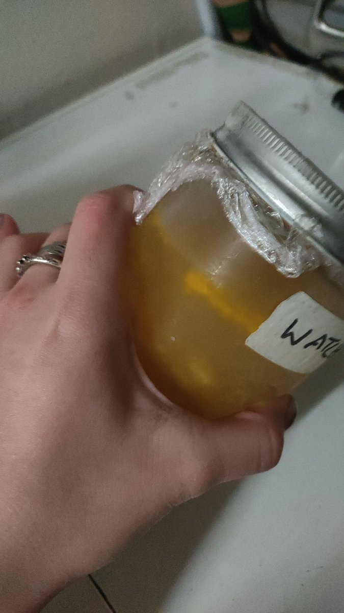 #1 njohrr kisser | 太郎 tweet media