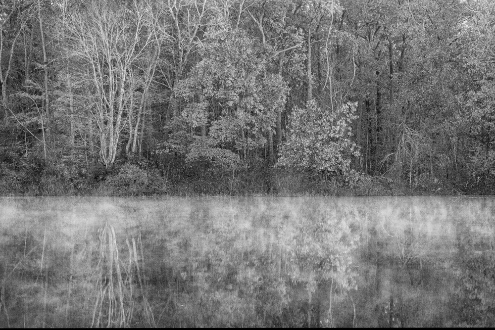 Misty morning at Gager Pond
#Connecticut #blackandwhitephotography #Canon #canonphotography #CanonFavPic