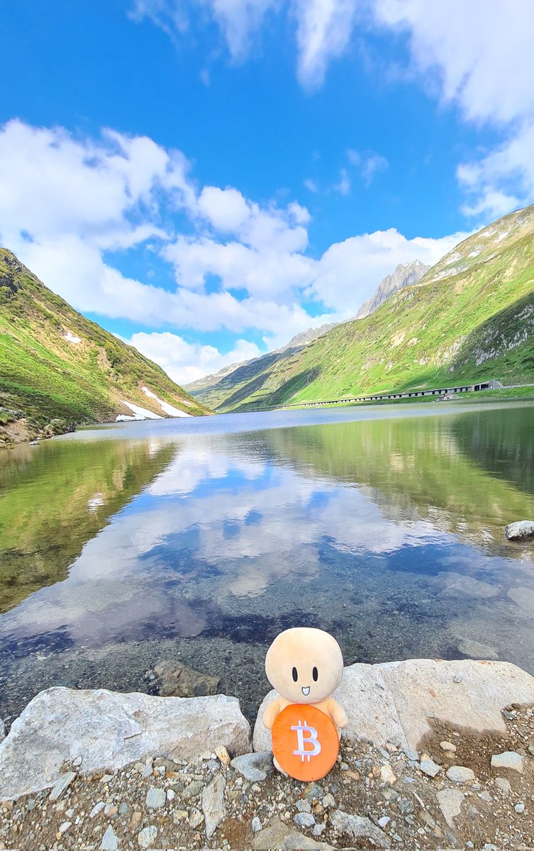 #thelittlehodler 🧡

Heute in den Bergen unterwegs 🌞
#TourdeSuisse2023 🚴🏻‍♂️

@LinaSeiche