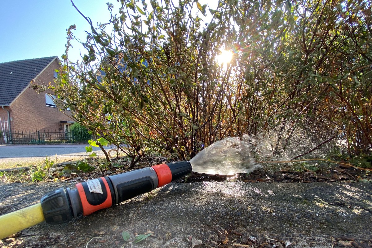 Anhaltende Trockenheit bereitet Kopfschmerzen: Der ESB ist für die Bewässerung an fünf Tagen im Einsatz. presse-service.de/data.aspx/stat…