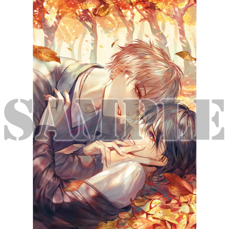 ［BL］とらのあな BLコミックフェア ミニブランケット まとめ売り BL］とらのあな BLコミックフェア ミニブランケット まとめ売り 漫画