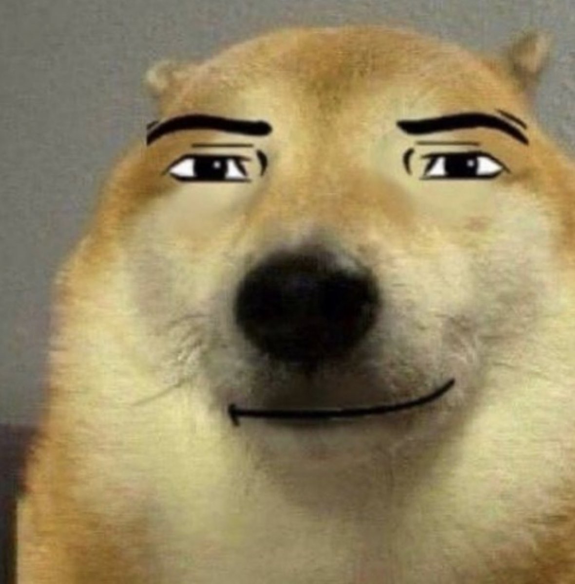 Dogethebeast144's tweet photo. @cptndakota me when https://t.co/03Dvg7SSIh