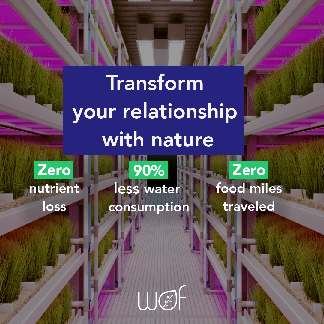 Vertical farming lessens our influence on the environment by using our cutting-edge farming #techniques. Our methods consume 90% less water than traditional farming and have zero #nutrient loss, which means that every nutrient is utilized #effectively.