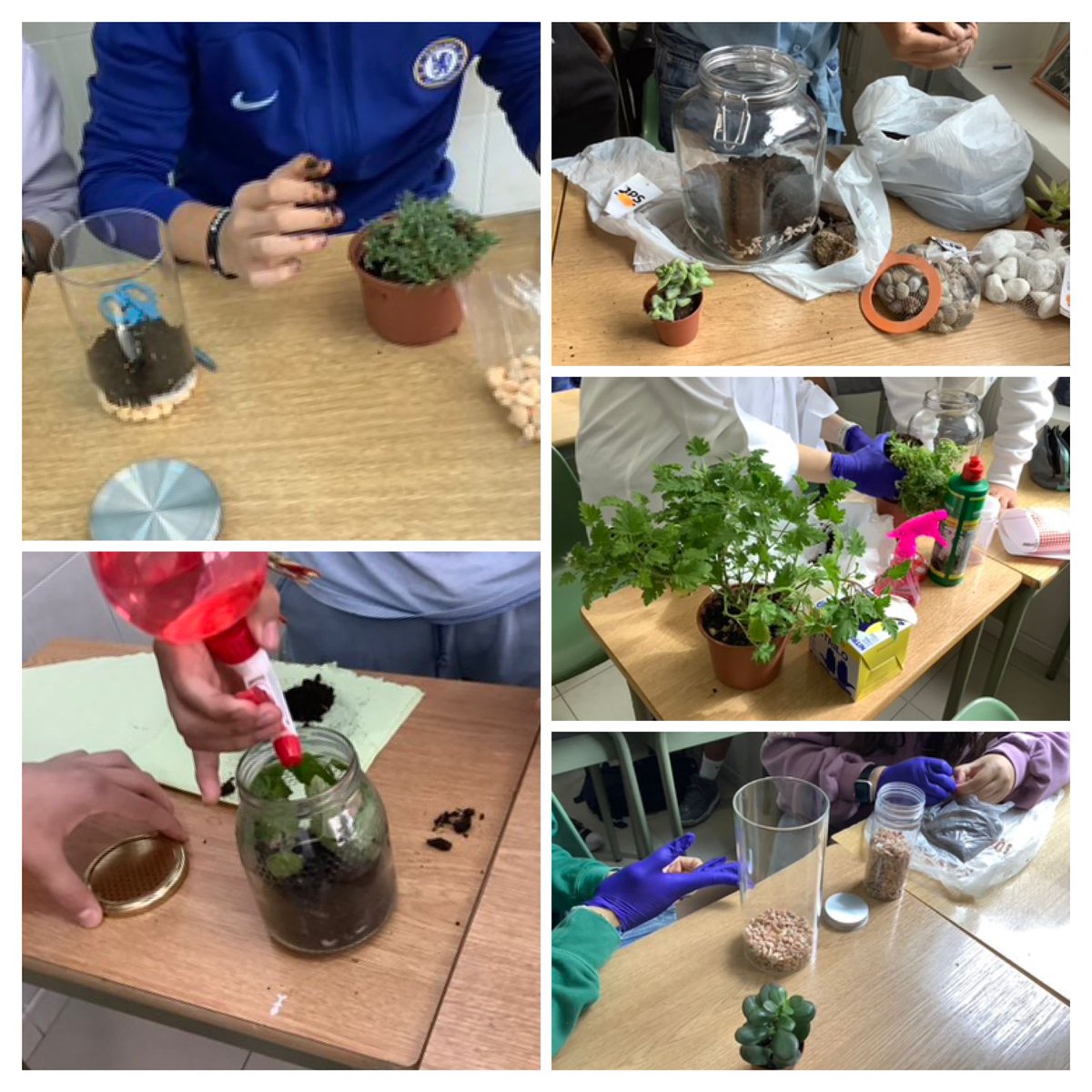 Concepcionistas Ponferrada tweet media