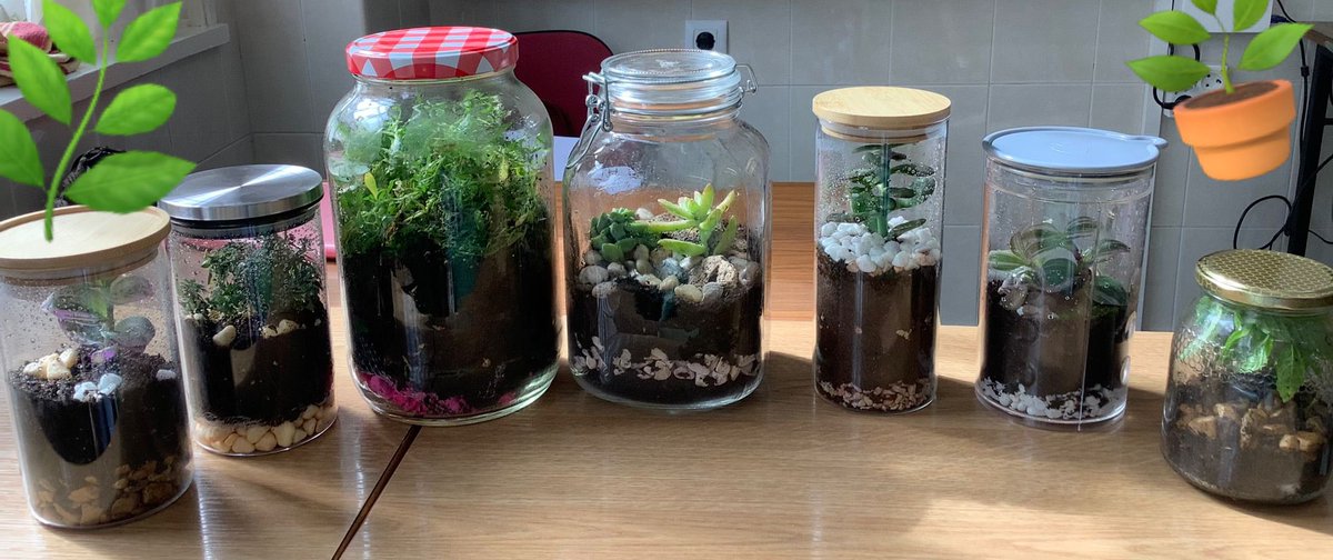 En Biología de 4° ESO, como complemento de la unidad de Ecología, hemos hecho unos mesocosmos (jardines eternos) preciosos 🌱🪴🌵