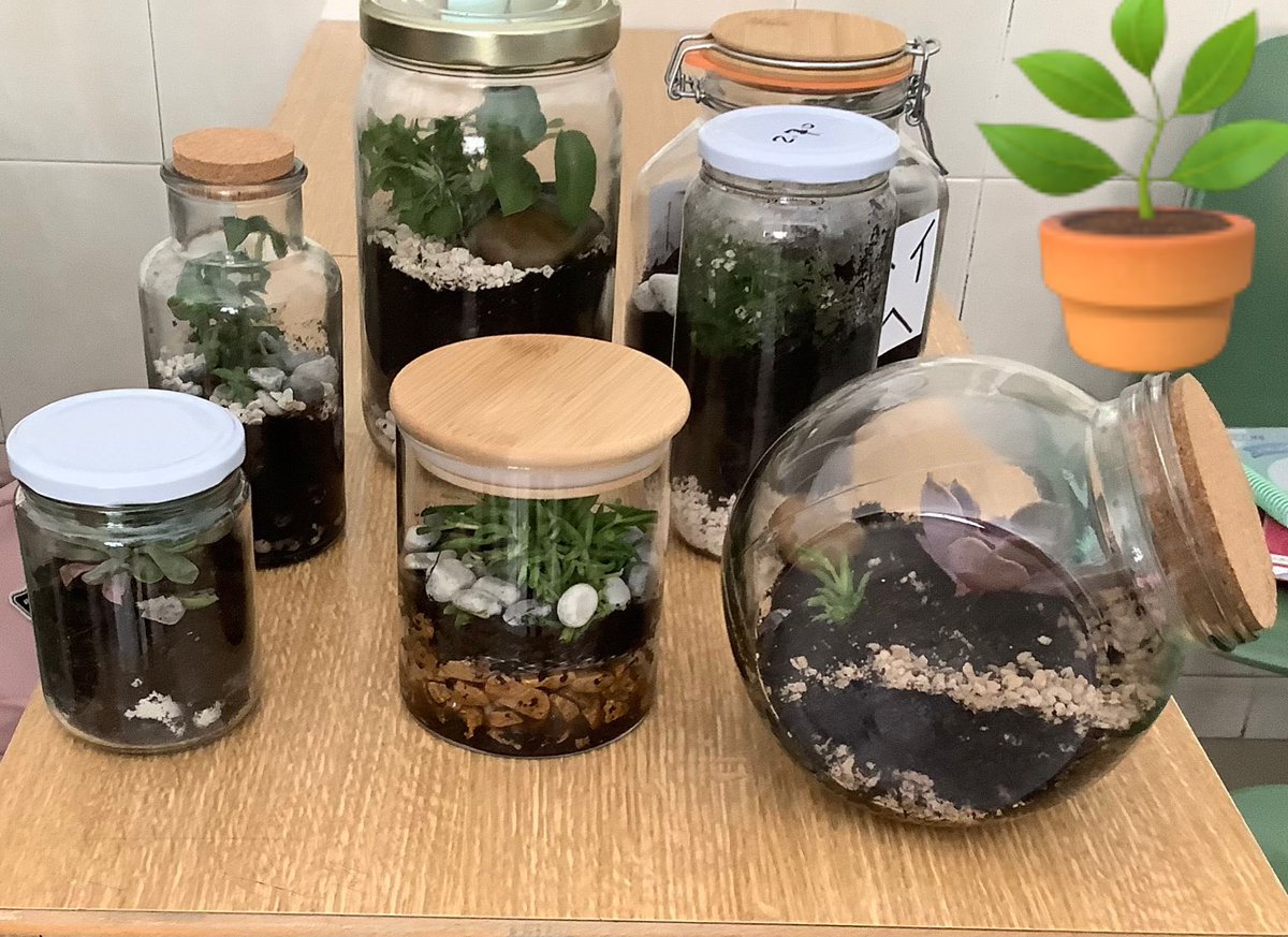 Concepcionistas Ponferrada tweet media