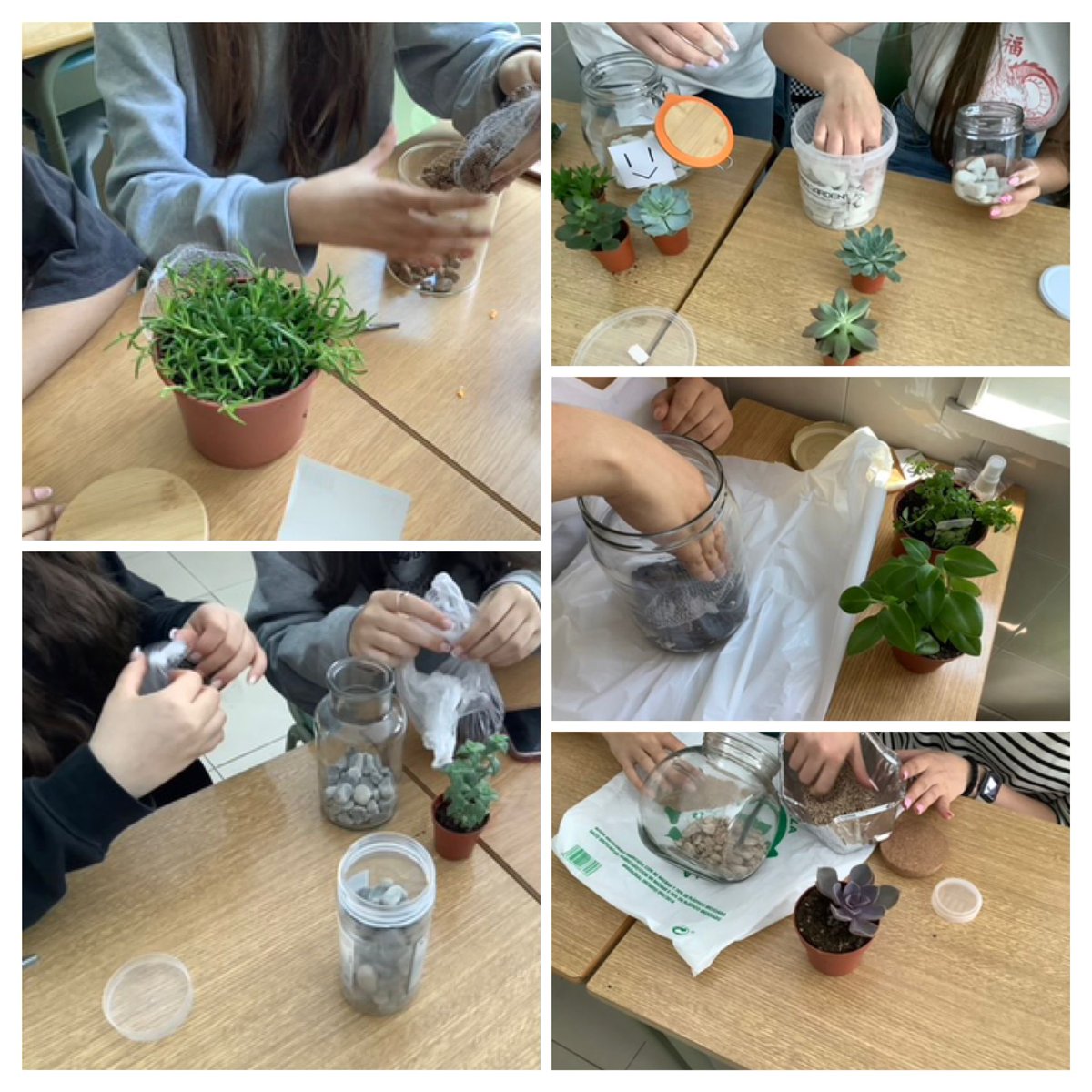 Concepcionistas Ponferrada tweet media