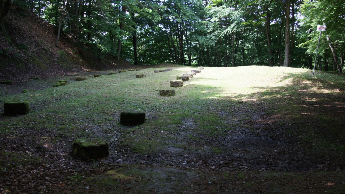 Facultatea de Istorie și Filosofie (UBB) tweet media