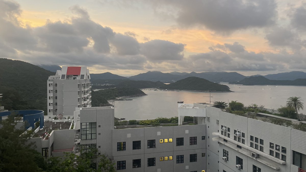 Matilda Gray tweet media