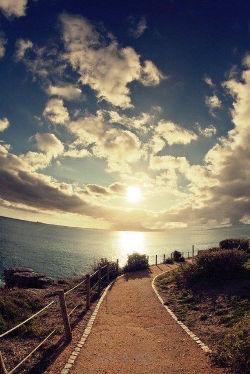 我們要懷有一種健康而活潑的心情，善待自己的生命！要用自己的熱情去呵護，去澆灌自己的生命！要用堅強的信念告慰自己，即使生活的道路困難重重，也要微笑面對，從容走過！