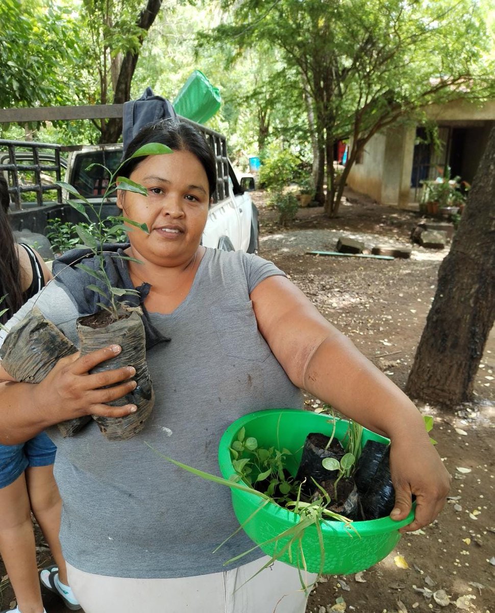 NICARAGUA CUENTA tweet media