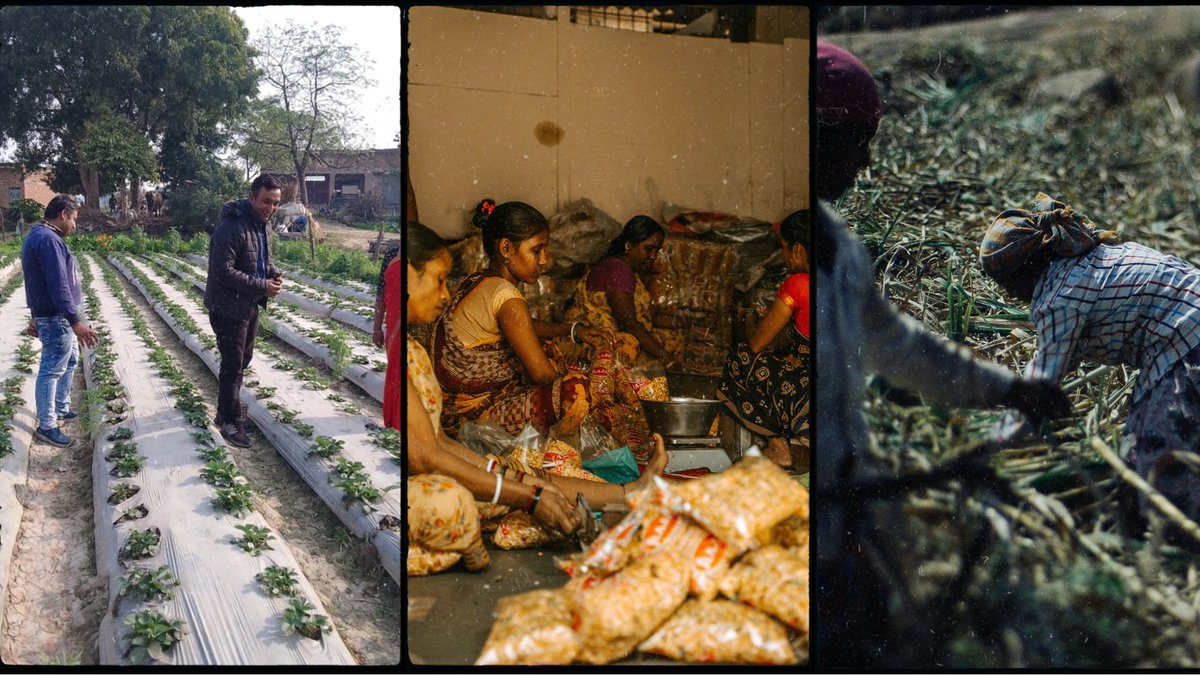 GlobalAnb's tweet photo. Empowering Women In The Agriculture Industry
Empowering Women in the Agriculture Industry Empowering women in the agriculture industry is an important step toward achieving gender equality &amp; food security
https://t.co/MLYOJFRSc6
https://t.co/GeQC8yGm6R
help@anbglobal.in https://t.co/OIOymZBbQg