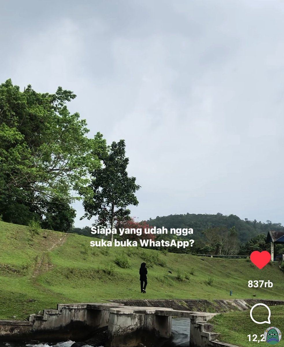 Tanyarlfes tweet media