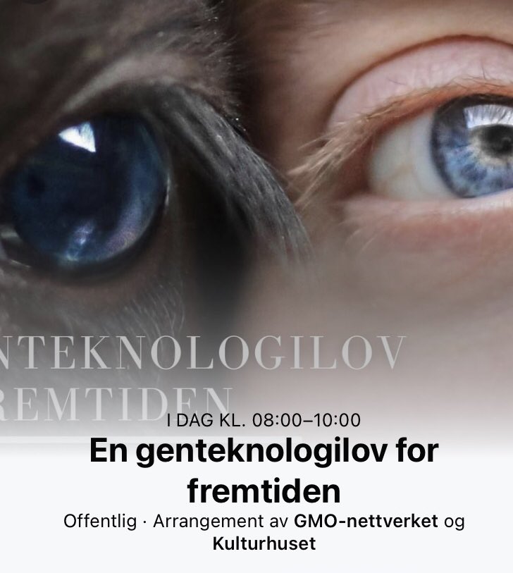 TrulsGulowsen's tweet photo. Starter dagen med GMO, ikke fordi noen av oss tror gener er farlige å spise, men fordi vi mener det er nødvendig å opprettholde streng risikovurdering for å motvirke fare for spredning av levende GMO’er til naturen. Strømmes: https://t.co/YuncX87WWO https://t.co/aYRq0334UX