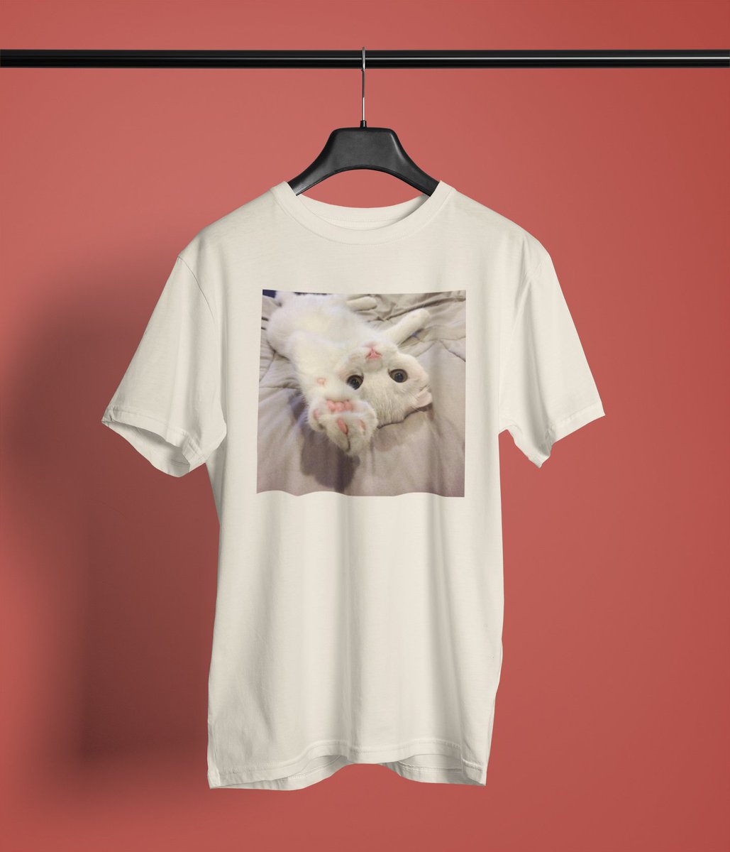 Here's a thread of wholesome t-shirt requests we received on our design tool 🥰

#CatsOfTwitter #catgirl #CatsAreFamily #Caturday #cattshirts #tshirtdesigns #CatsOnTwitter #CatsLover #redesyn