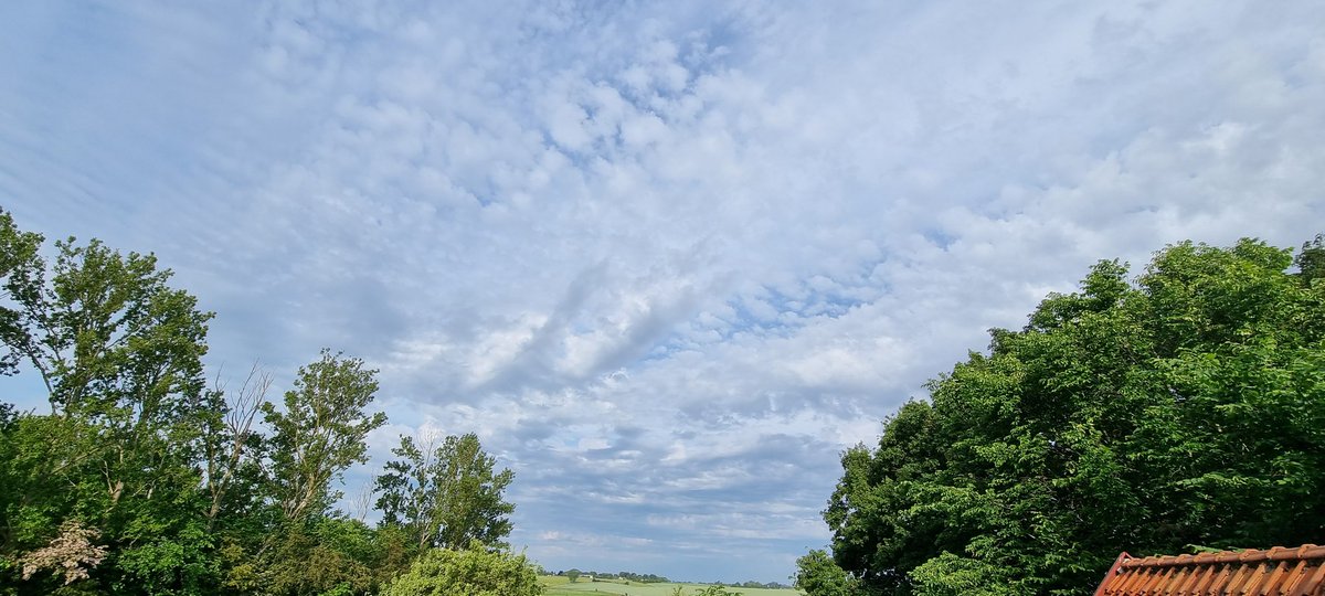 We should be happy this morning because they have chosen to make clouds for us through the night, but what is there to be happy about when they are fake and toxic, filled with nanoparticles and heavy metals and what else they want poison us with. There plan goes smoothly forward.