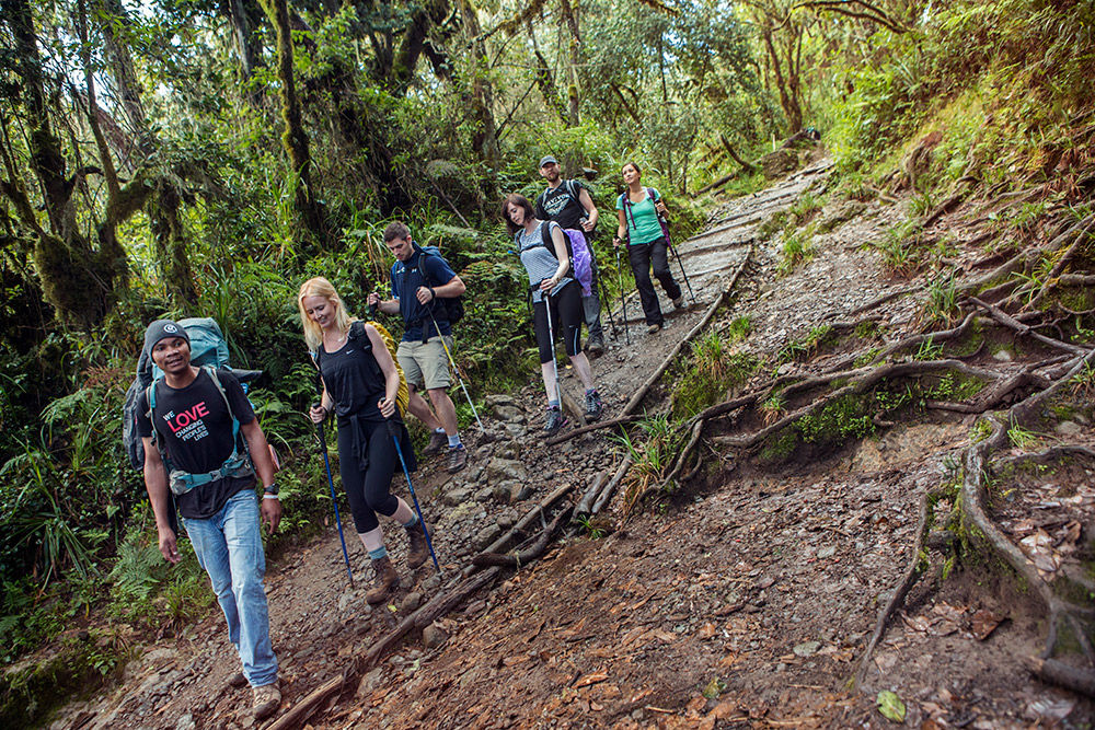 Seeking a thrilling challenge? Book your Kilimanjaro climb with us and push your limits while surrounded by breathtaking scenery.
#MachokodoTours
#mountkilimanjaro 
#adventure  
#nature 
#trekking 
#hiking 
#visittanzania 
#tanzaniaunforgettable 
#uhurupeak 
#utaliiwandani