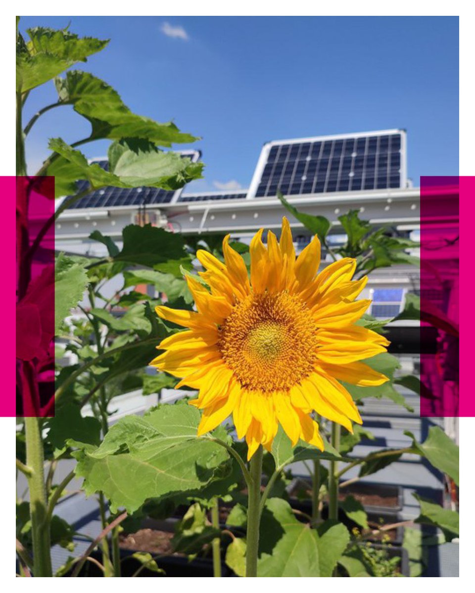 HTWK Leipzig tweet media