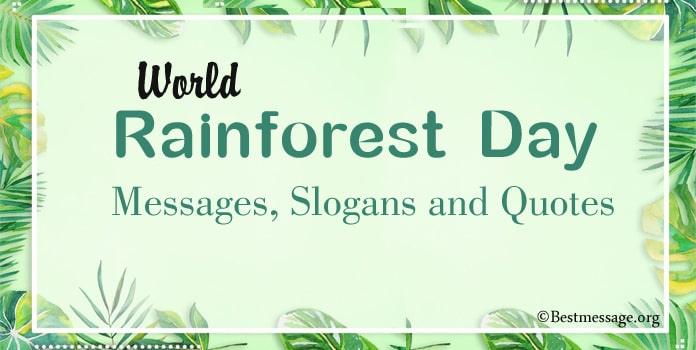 World Rainforest Day Messages and Quotes

bestmessage.org/world-rainfore…

World Rainforest Day Messages, save rainforest slogans and cute sayings. Share with everyone these best rainforest slogans with everyone.

#RainforestDay #RainforestDayQuotes #WorldRainforestDay