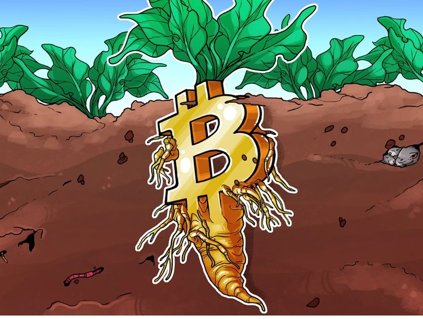 MrBtc2030's tweet photo. Ayer se paró la subida de tipos por la #fed pero indico posteriormente que habría al menos dos subidas más, y eso que más nos da a los #holders de #bitcoin hoy tocamos 25k más oportunidad de acumular este mes de #junio esta fase de acumular está casi en su fin.

#oro, #plata #bnb https://t.co/nkbhY2mHFw