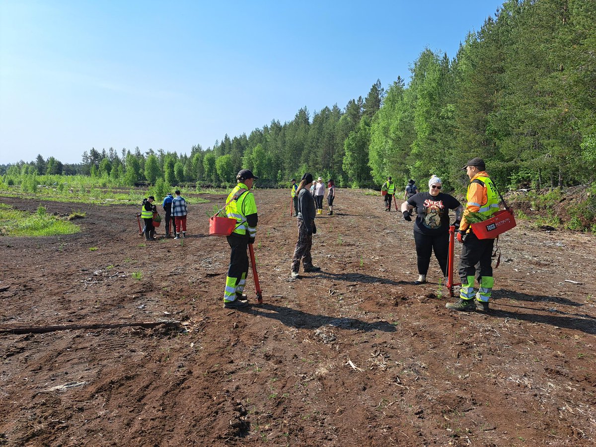 Ähtärin Taimiteko-istutuksilla vieraili eilen <a href="/SiiliSolutions/">Siili Solutions</a>, jolle istutetaan tänä vuonna huikeat 36292 taimea🌱! Istutuksille työllistyi 8 nuorta, jotka viimeisen työpäivänsä päätteeksi ohjeistivat ammattimaisin ottein myös Siililäisiä pottiputken käyttämisessä😌. #taimiteko