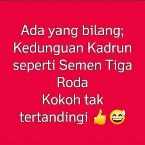 @AsliLanang2 @hendryfaiz309 @AldiADC @legalalieen @GeiszChalifah Kadrun emang dungu 🤣