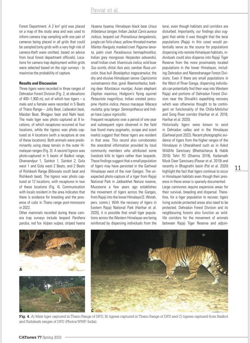 DevavratPawar's tweet photo. Evidence of tigers from the Dehradun Forest, India suggesting that tigers have persisted or recolonised the Himalayan ranges and adjoining lowlands west of the river Ganga,even though Western Rajaji TR has been assumed to be the sole tiger population in recent decades. #WWFIndia https://t.co/DyIhKDIOCV