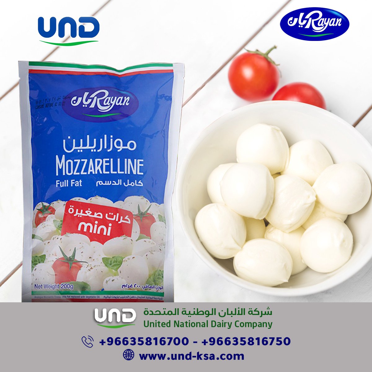 Rayan ريان tweet media