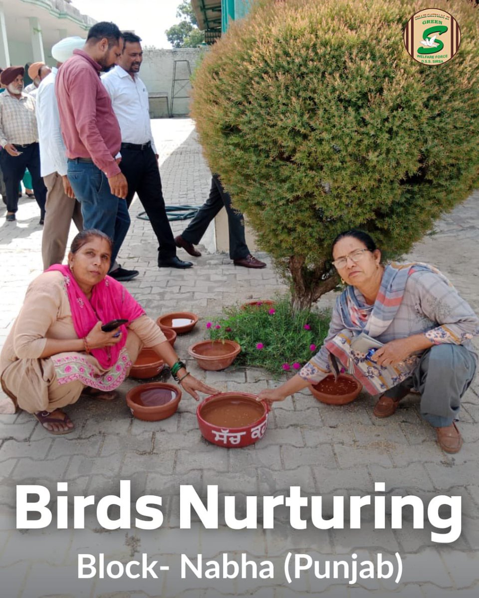 GreenSwelfares's tweet photo. Shah Satnam Ji Green 'S' Welfare Force Wing volunteers are placing nests and providing food and water to help our feathered friends. 🐦💦 Let's make this summer easier for the birds! #NurturingBirds #SummerKindness #NatureLove #DeraSachaSauda https://t.co/o18vJe7Ifq