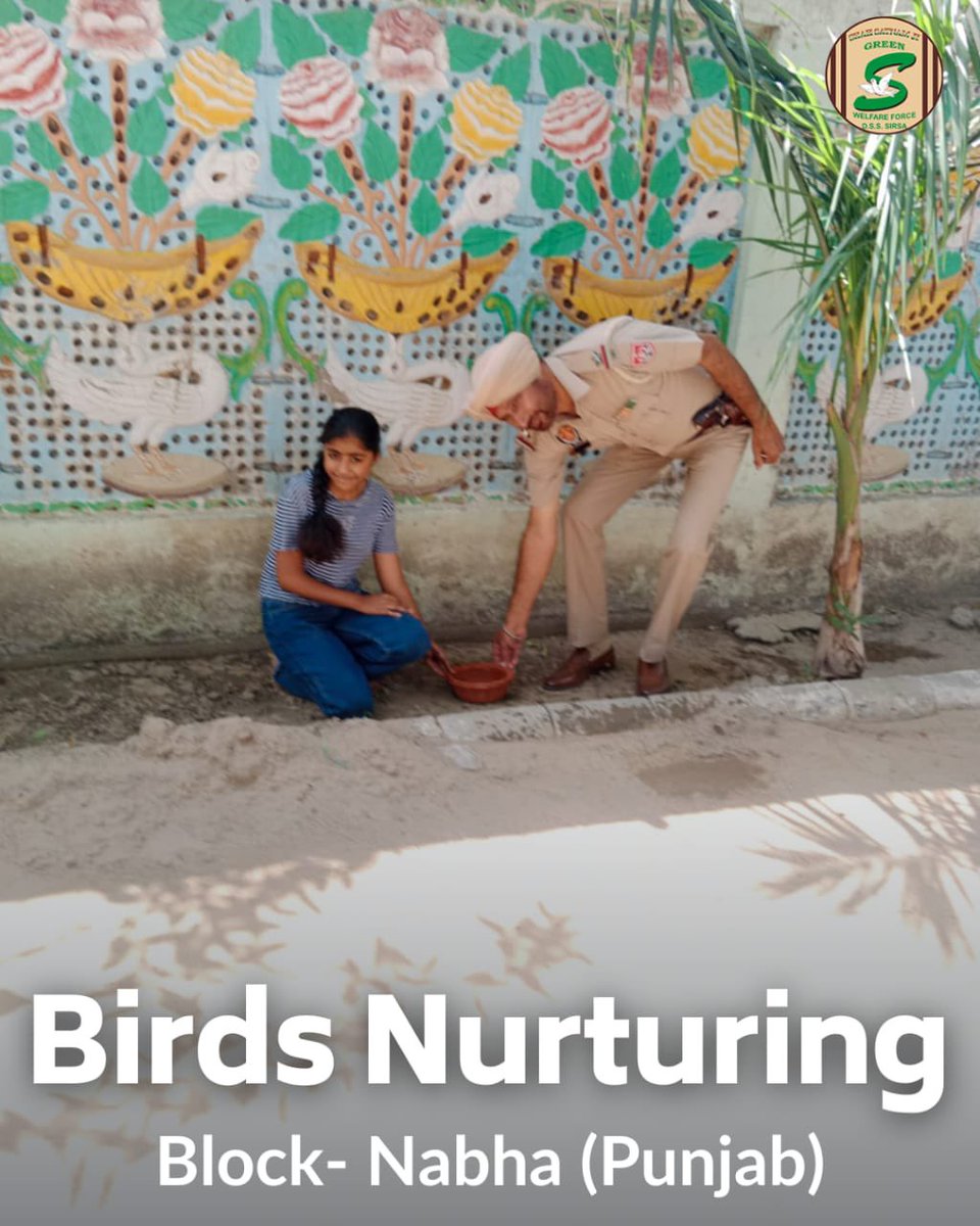 GreenSwelfares's tweet photo. Shah Satnam Ji Green 'S' Welfare Force Wing volunteers are placing nests and providing food and water to help our feathered friends. 🐦💦 Let's make this summer easier for the birds! #NurturingBirds #SummerKindness #NatureLove #DeraSachaSauda https://t.co/o18vJe7Ifq