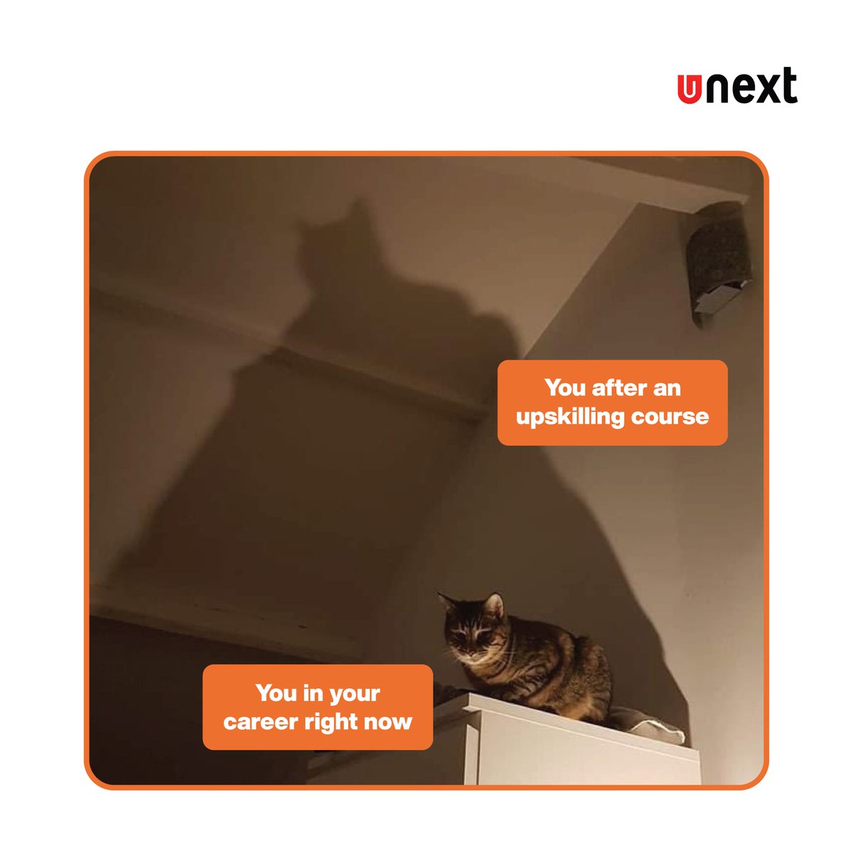 UNextLearning's tweet photo. Here's your reminder to upskill and become the Batman of your department!
Check out https://t.co/gNB1uyiCOW to know more.
#Growth #AIIndustries #Career #Opportunities #UNextLearning https://t.co/DtJHbG0qjM