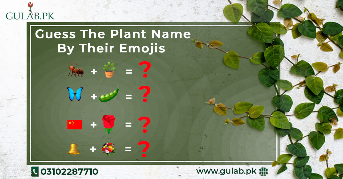 📢Lets start fun game about plants!🌱

🌿Guess the plant name and tell us in comments, that which one is your favorite.✅

#gulabpk🌹🌹 #onlinenursury🛒🌳🌵🌹🚛 #plantlover🌱💚 #powerofplants🌿💪🌺 #quiz📖 #nature🍃☘🍀