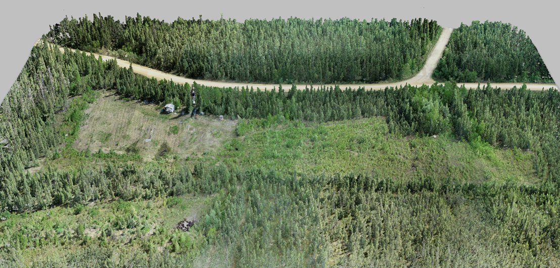 Permafrost Grown tweet media