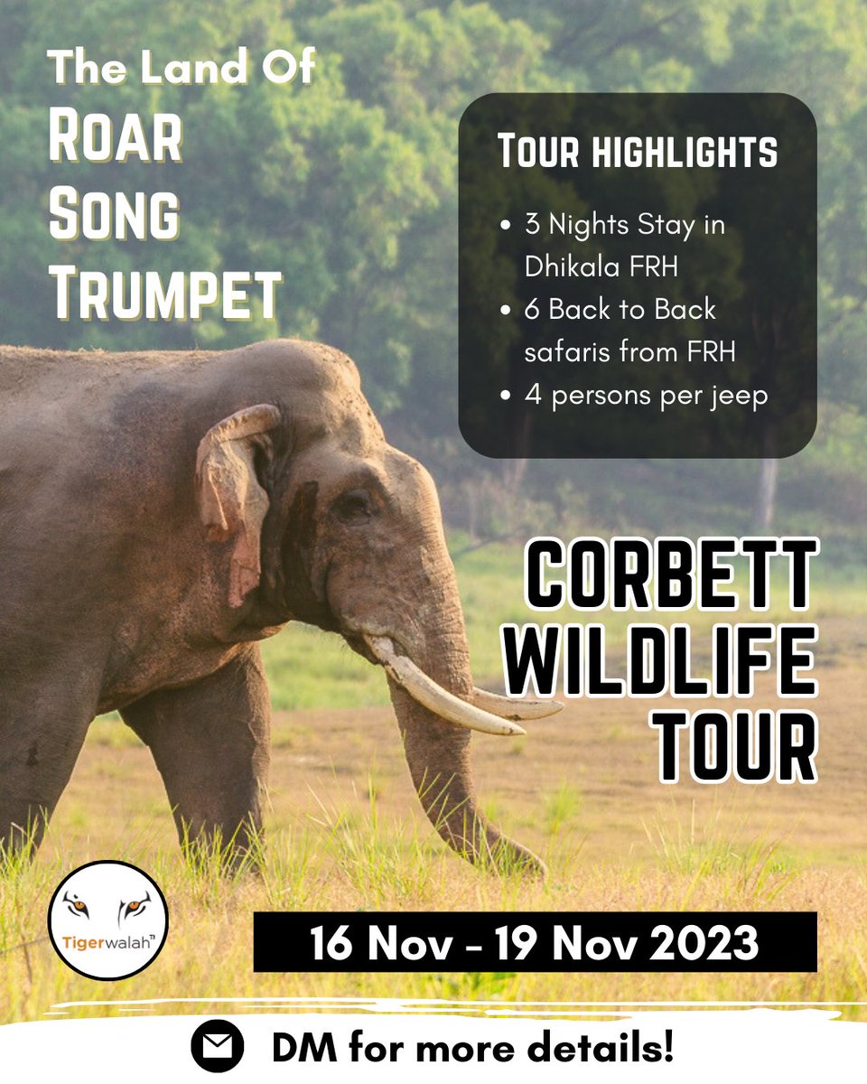 Discover the Wild Majesty of Jim Corbett
Embark on an Adventure Like No Other!
Come join us to explore the land of roar, song and trumpet!
For more details and booking contact:
📱: 9871431155 or 9999641659
#TigerWalah #SafariwithTigerWalah #Jimcorbett #Indianwildlife