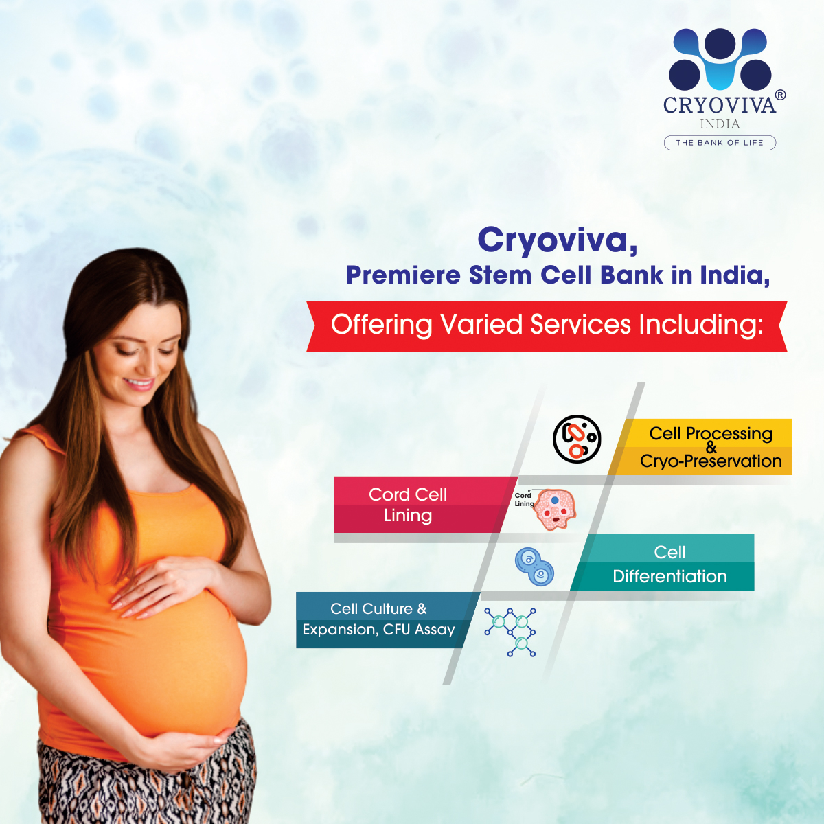 Cryoviva Biotech Private Limited provides its customers with the choice of Family Banking or Social Banking. We assure that the #cordblood stem cell collecting method is painless, risk-free, and entirely sanitary.
#stemcellbanking #cordbloodbanking #cryovivaindia #stemcellstorage