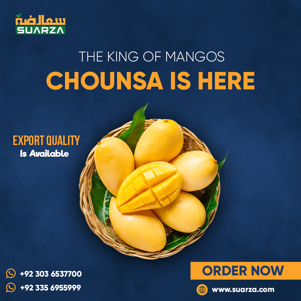 suarzagroup's tweet photo. The King of mangos chounsa is here Ready To Export

Order Online
https://t.co/4pDjXKl2aF

Now available for order
Contact us at +92 303 6537700 / +92 335 6955999

#Suarza #best #sweetness #mangoonline #mangoseason #mangolover #ChounsaMango https://t.co/E6sdA3kuRh