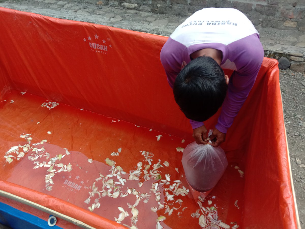 dediichtiarso's tweet photo. Kamis, 15 Juni 2023 Anjangsana di Wilker Desa Pamulihan Kecamatan Larangan Kabupaten Brebes pembagian bantuan masyarakat miskin ekstrim untuk berbudidaya perikanan ikan lele @30 orang penerima semoga bermanfaat 
#GiatLuhkanSatminkalTegal
#Luhlapor
#BRSDMKP https://t.co/pvMonsLw2t