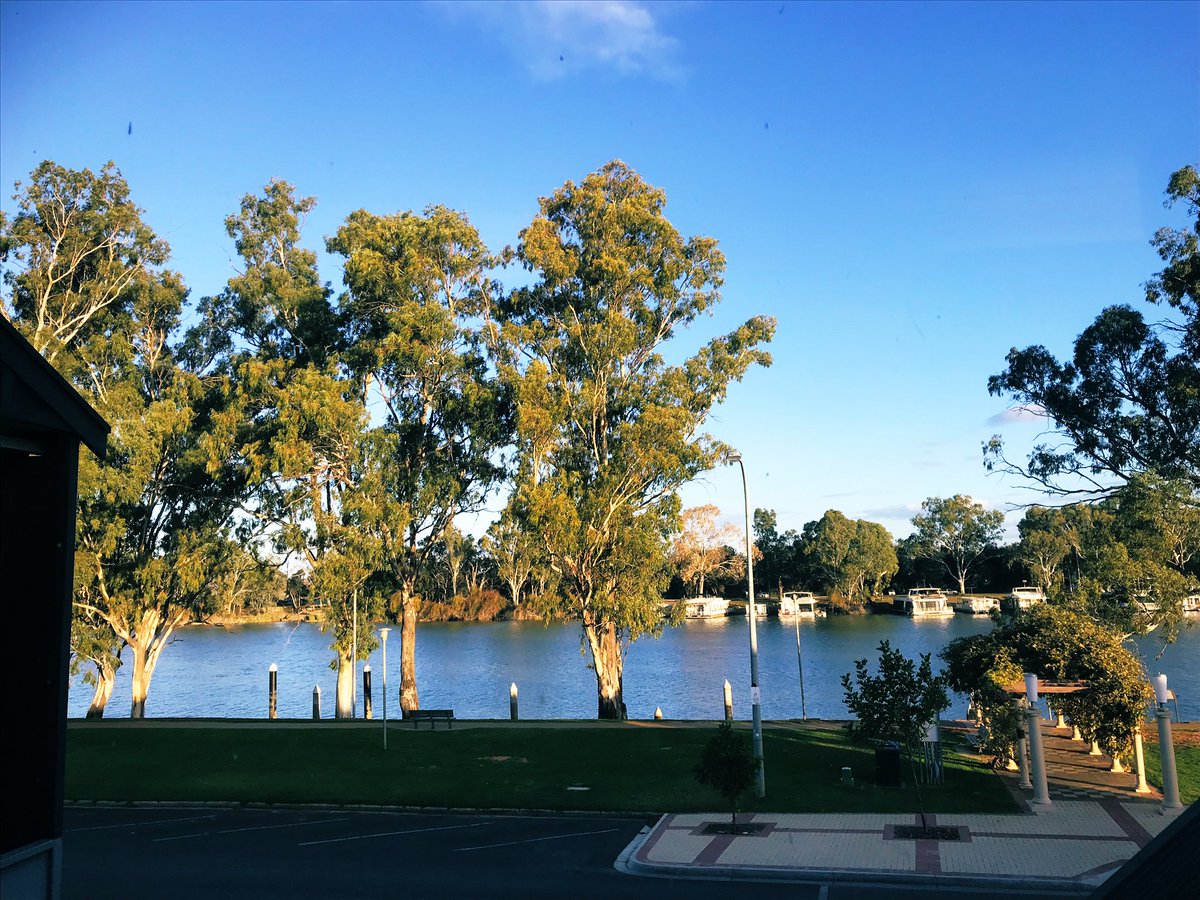 bob_dambergs's tweet image. #CurrentView