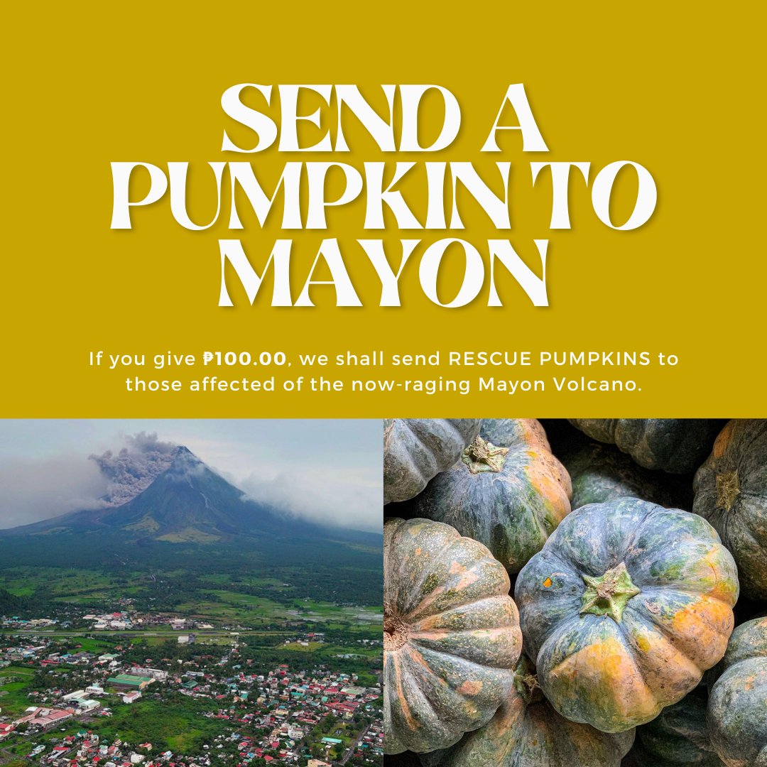 ruralrisingph's tweet photo. We're sending rescue pumpkins to Mayon! We will be donating them from our ongoing PUMPKIN RESCUE from Nueva Ecija to the victims. We're talking to our farmers and a group that will transport the produce to far-off Albay. We hope so much and we pray for this effort to succeed. https://t.co/OLjKlN4IpC