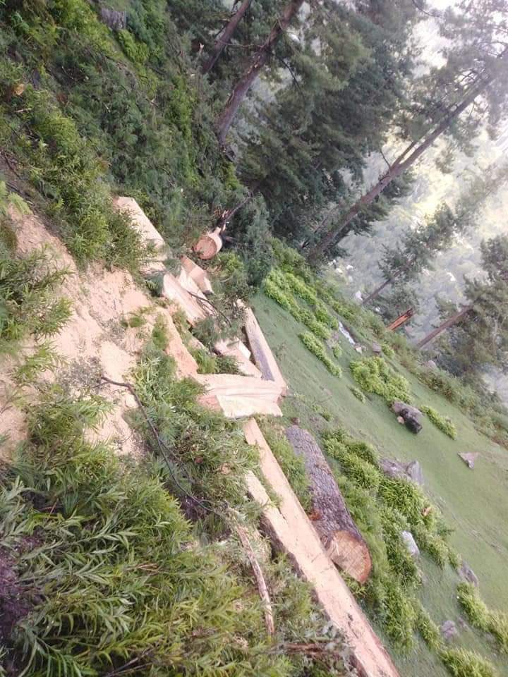 Shocking reports of deforestation r received from #TirahValley of district Khyber. Cutting down trees in the forests of Tirah may be considered as a criminal activity. Local admin and provincial govt must take notice immediately before it’s too late. #StopDeforestatioInTirah