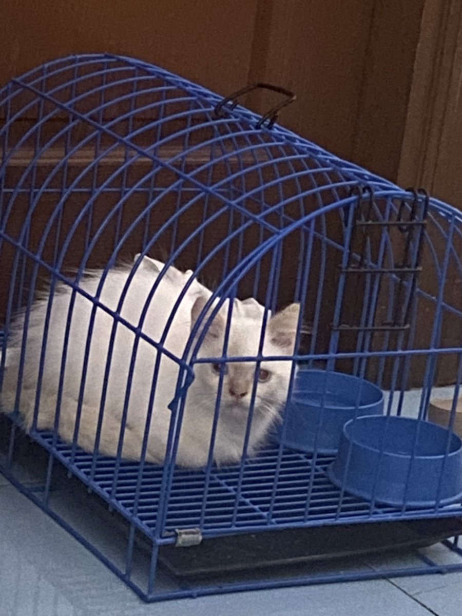 loaf is serving jailtime