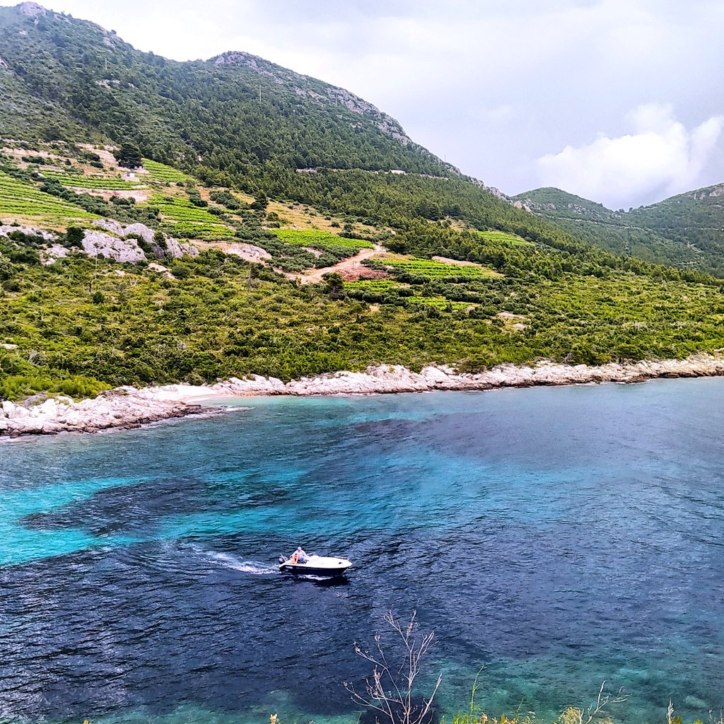 FranicaDevoic's tweet image. GM Twitter!
These are the images from yesterday's winetasting tour on Pelješac Peninsula. Although the weather was not sunny nothing could spoil the beauty of this region.🍇🍷⛅📽️🌊❤️
#Trstenik #Pelješac #Croatia #wine
#beautiful #vineyards #winekingdom
#picperfect #tourguide