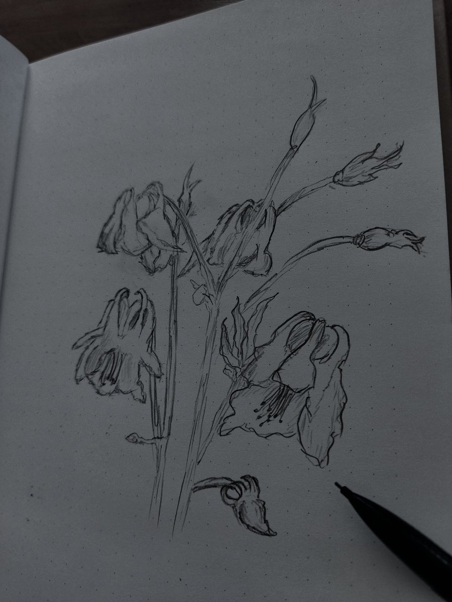I really like drawing flowers. #sketch #drawing #flowers