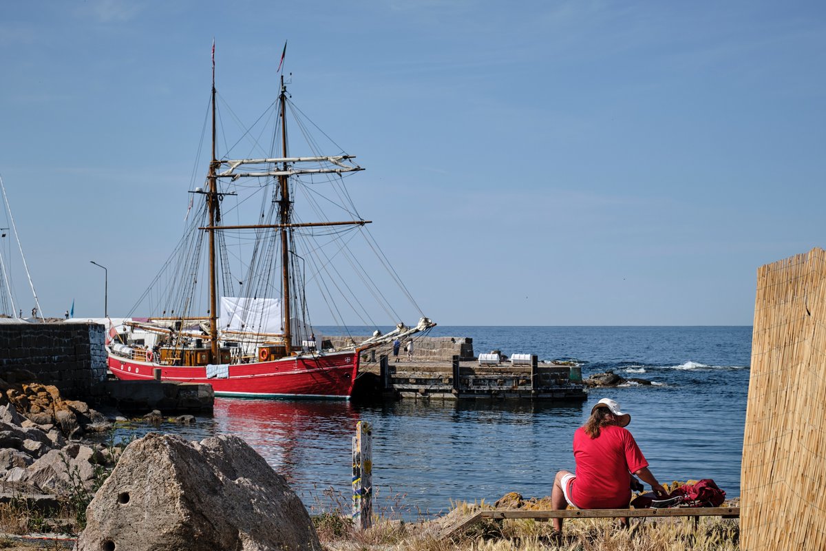 Folkemødet #fmdk tweet media
