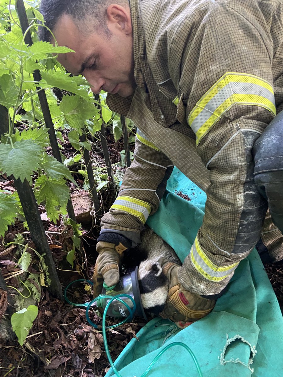 #notjustfires white watch attended an early morning animal rescue in Tettenhall today working in partnership with ⁦@RSPCA_official⁩