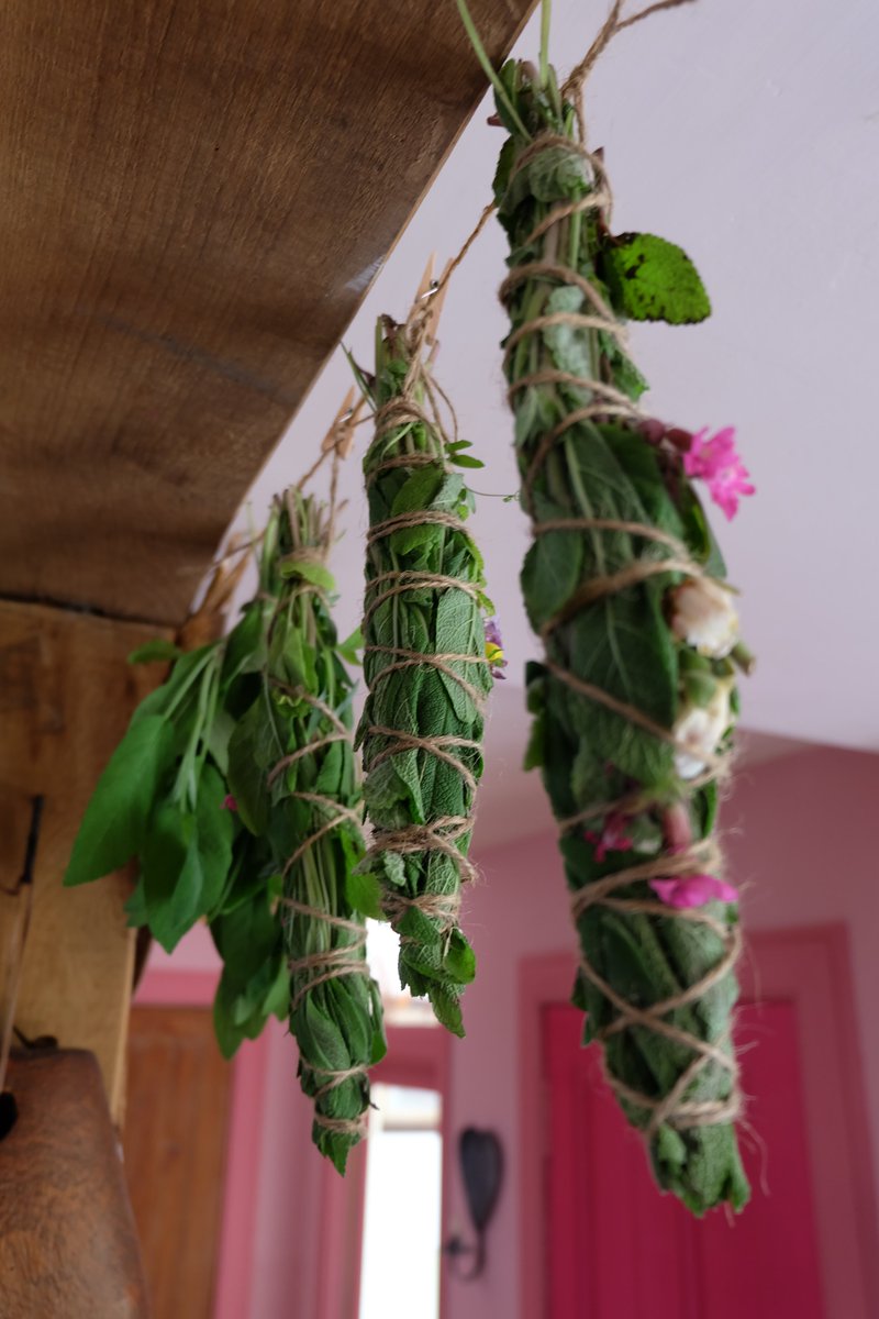 StMarysSpace's tweet photo. House &amp; hands heavily scented with sage from making diy sage smudge sticks, such a wonderfully heady scent. Used mainly sage with tiny addition of lemon balm &amp; itsy-bitsy seasonal flowers from the garden💚
#smudgesticks #Sage #cleansing #diy #homemade #argyll #Scotland #plants https://t.co/dg082peHYQ