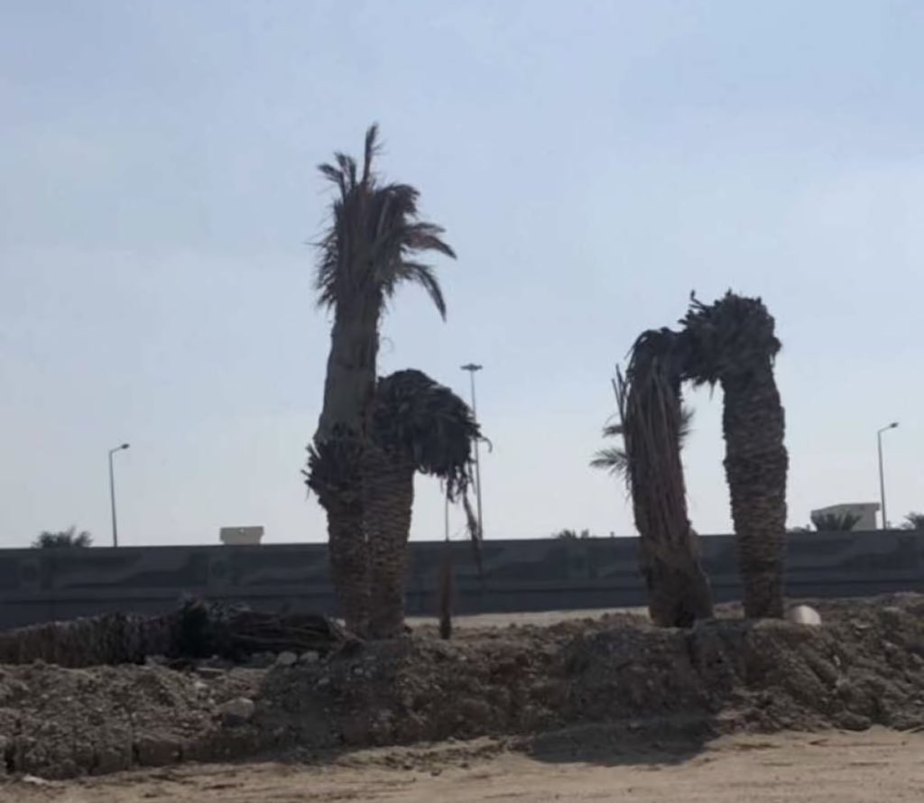QtrAlii's tweet photo. عينهم يدخنون وقام ينصحهم 
نصايحً باللغو والسب مصحوبه 
 
ولاهو بمن كبر سنه يوم صبحهم 
نصايحه ماتليق تكون من صوبه 

لاشك ذلوه فـ الشيبان يفضحهم 
واختارو  يمثلون الحزن والتوبه https://t.co/ZUXBbRulkw