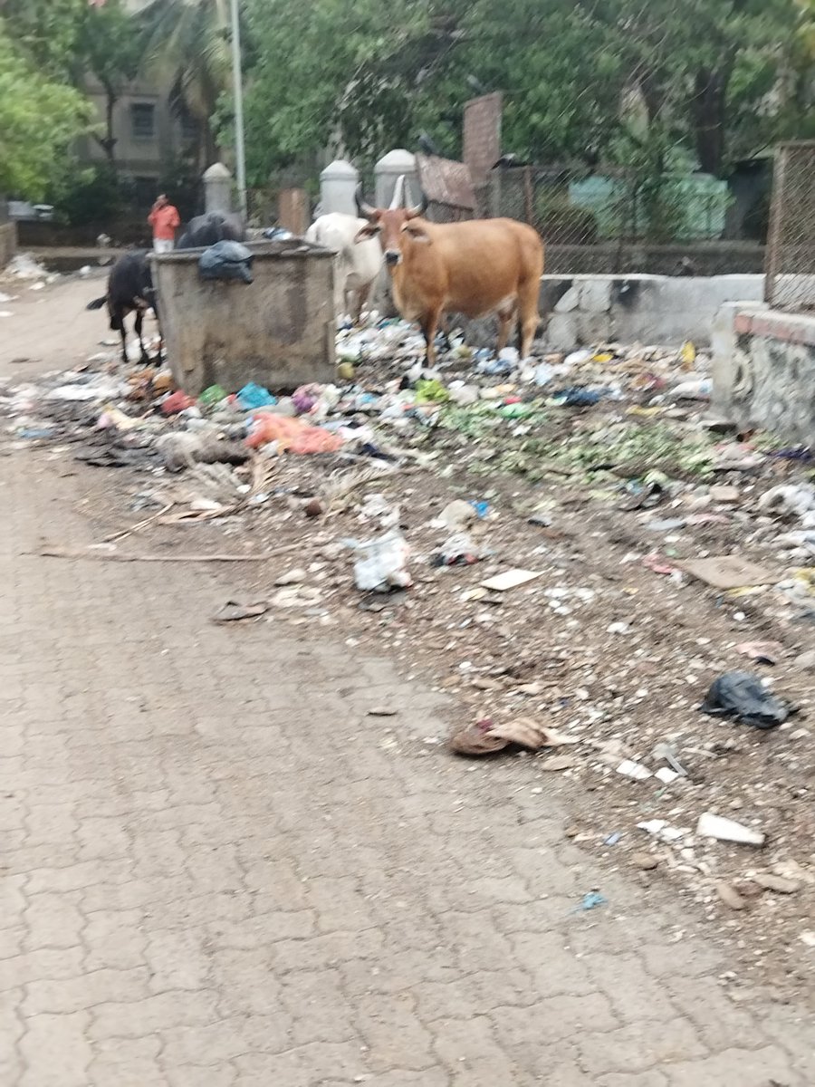 Sanket1553's tweet photo. @mybmcWardD @Aslam_Merchantt @ataulkhan09  @BankiMistry Kindly clear the garbage and sanitize the place in CGHS Colony gate Antophill Sector 7 Mumbai 37 https://t.co/tGXsgelHm9