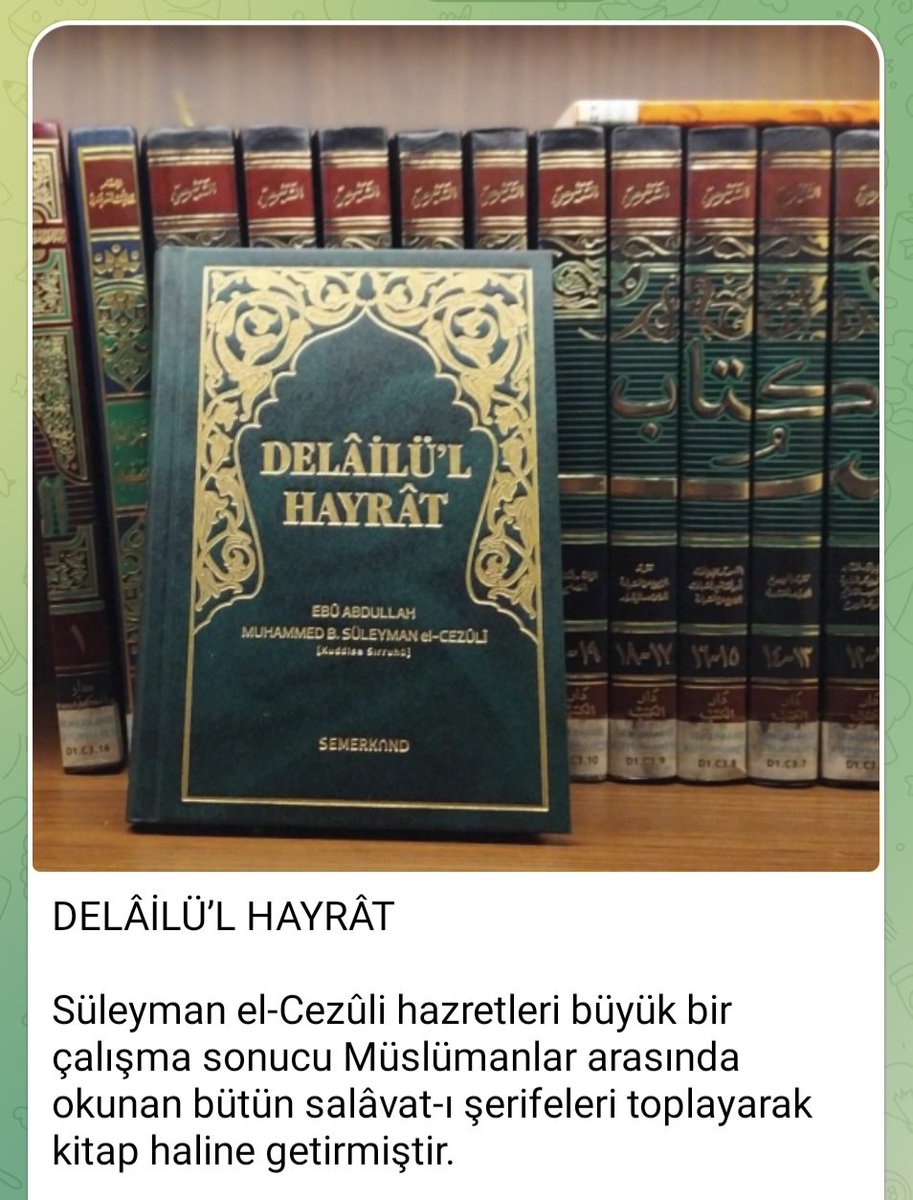 RAŞİT SAĞLAM (@rasitsaglam) on Twitter photo 